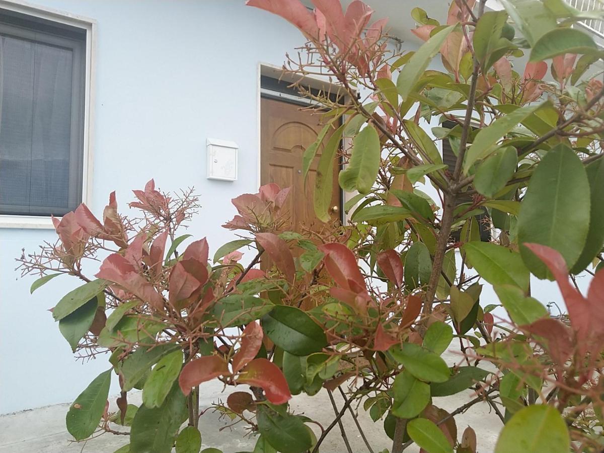 Villa Rosa Dei Venti House Campomarino  Exterior foto